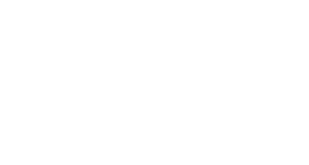 Fenix Starlight logo